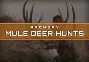 Archery Mule Deer Hunts