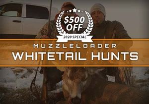 Muzzleloader Whitetail Hunts